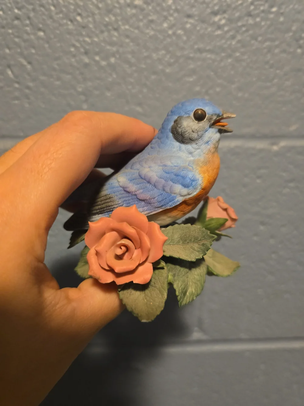 N/A beautiful blue